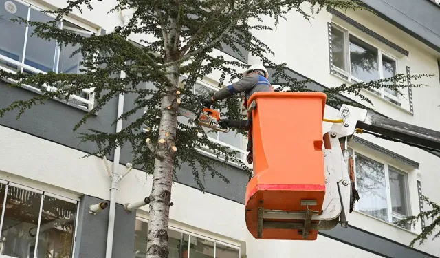 Mamak’ta bahar bakımı devam ediyor