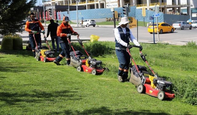 Çankaya’da Park ve Yeşil Alanlarda Bakım Çalışmaları Devam Ediyor