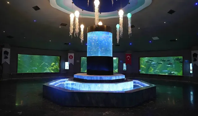 Keçiören Deniz Dünyası yenilenen yüzüyle yeniden açıldı