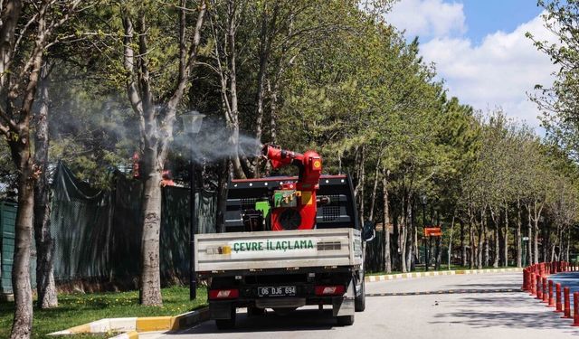 Çankaya’da 124 Mahallede İlaçlama Çalışmaları Başlatıldı