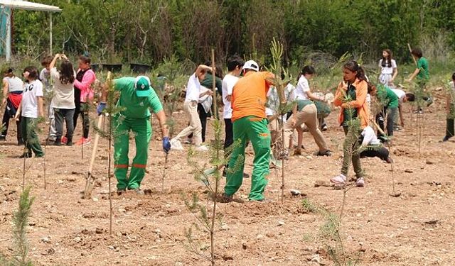 Çankaya'da ağaçlandırma çalışmaları devam ediyor