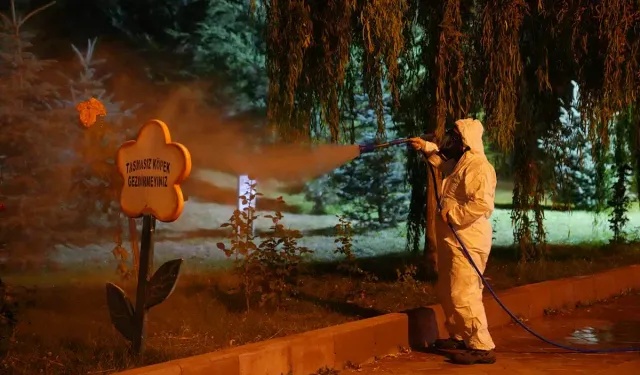 Keçiören’de haşere ve sivrisineğe karşı kesintisiz ilaçlama