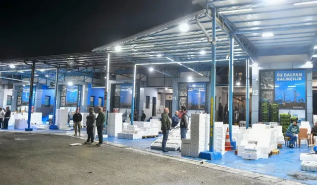 Ankara'da balık haline sıkı denetim