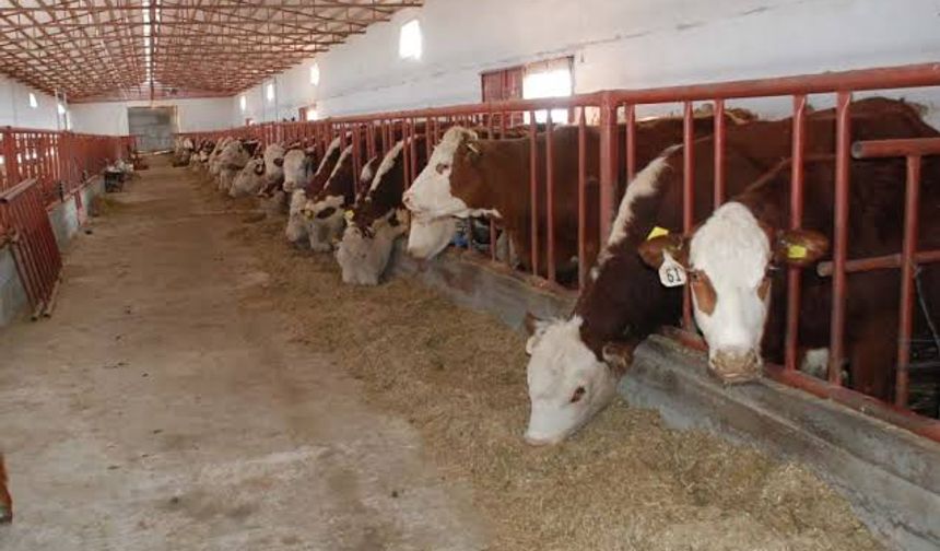 Çubuk'ta hijyen denetimleri başladı