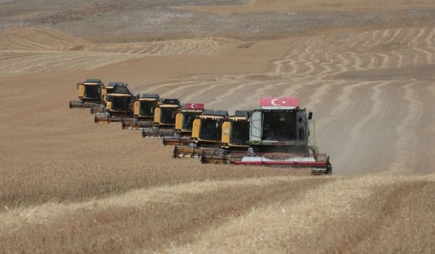 Polatlı’da Tahıl Hasadı Başladı