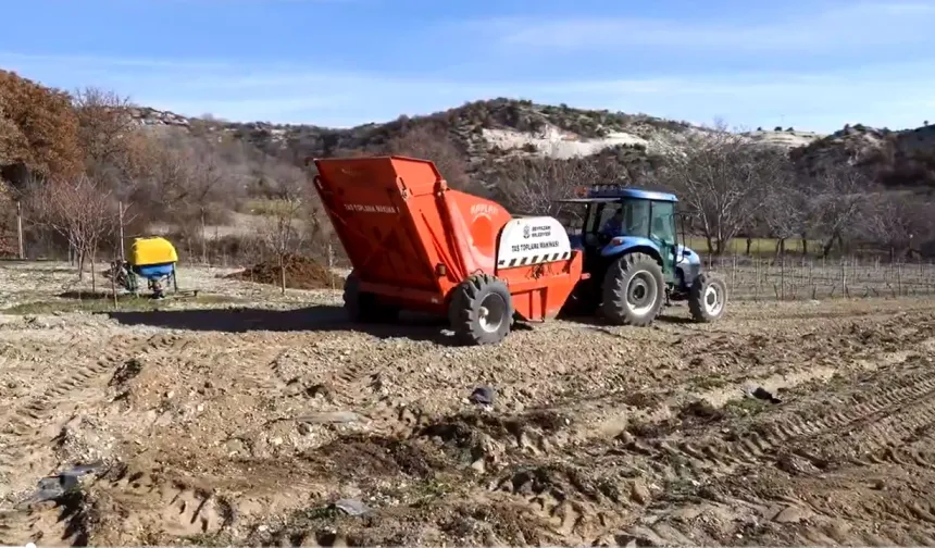 Beypazarı'nda çiftçinin yüzü gülecek!