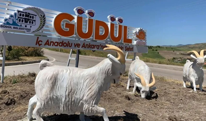 Güdül’de çiftçiye müjde!