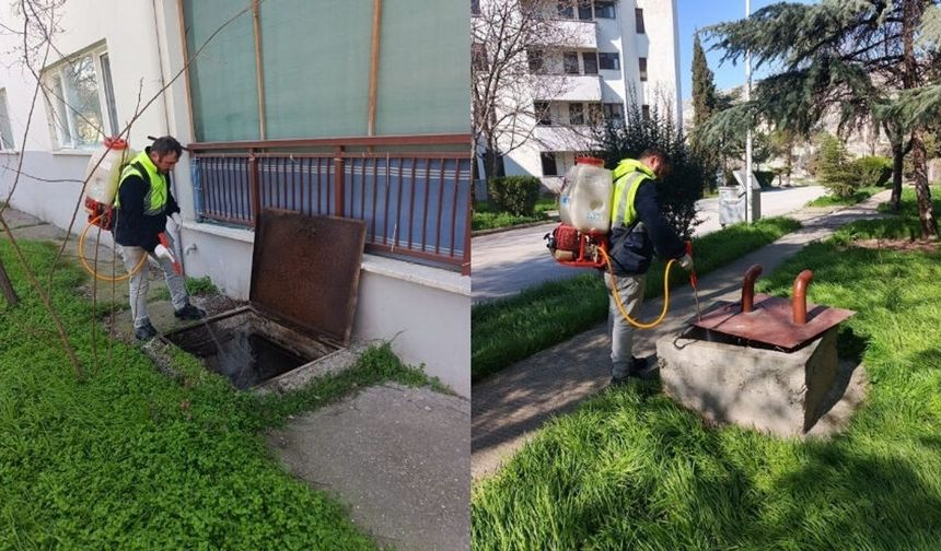 Nallıhan Belediyesi’nden Çayırhan’da İlaçlama Çalışması