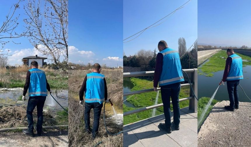 Kahramankazan Sokaklarında Haşere Avı Başladı