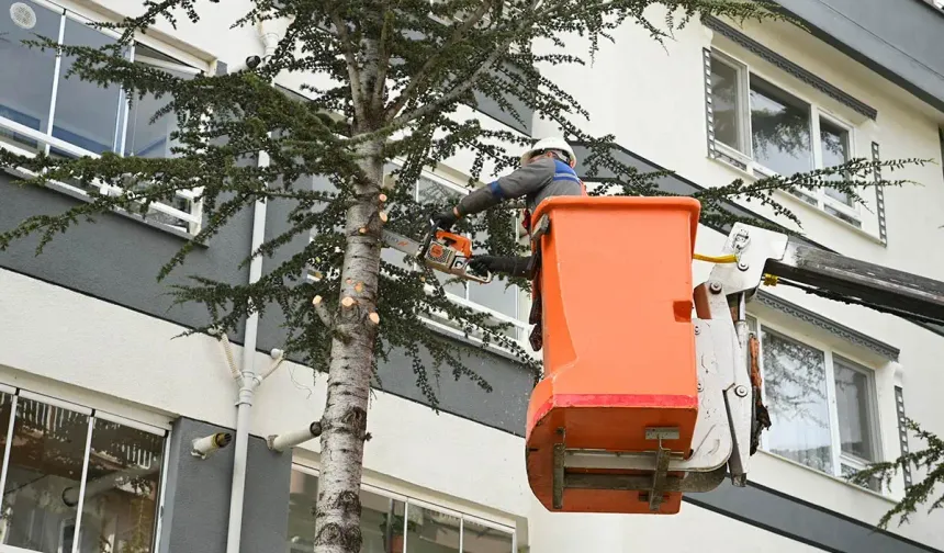 Mamak’ta bahar bakımı devam ediyor