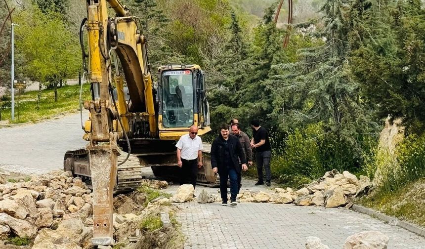 Nallıhan Kuş Cenneti Ziyaretçiler için Yeniden Düzenleniyor