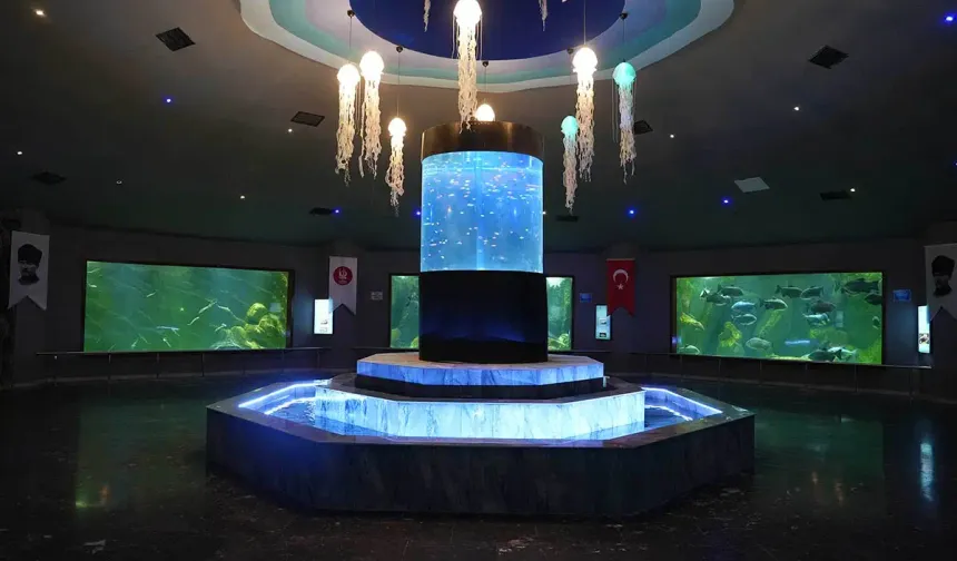Keçiören Deniz Dünyası yenilenen yüzüyle yeniden açıldı