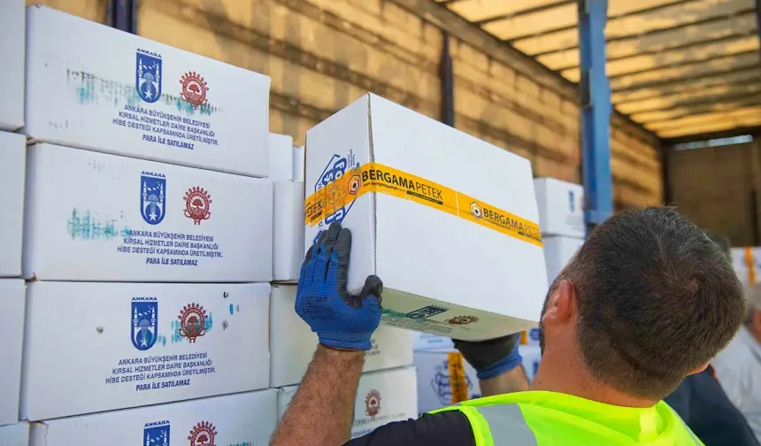 Ankara Büyükşehirden arıcılara arı yemi desteği