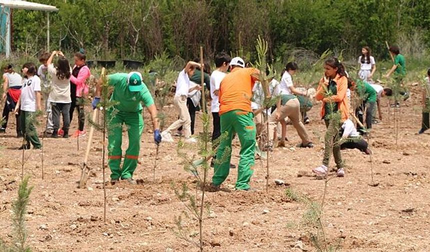 Çankaya'da ağaçlandırma çalışmaları devam ediyor