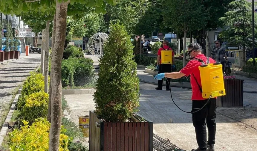 Çankaya parklarında ilaçlama kesintisiz sürüyor